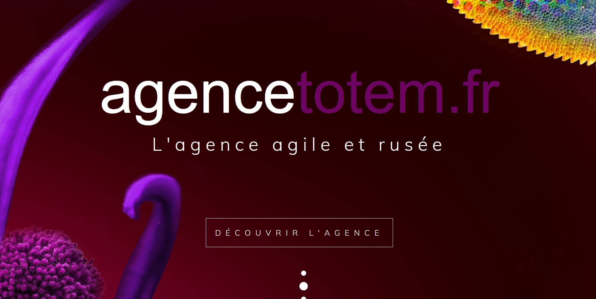  Agence Totem - Agence Web à Toulouse