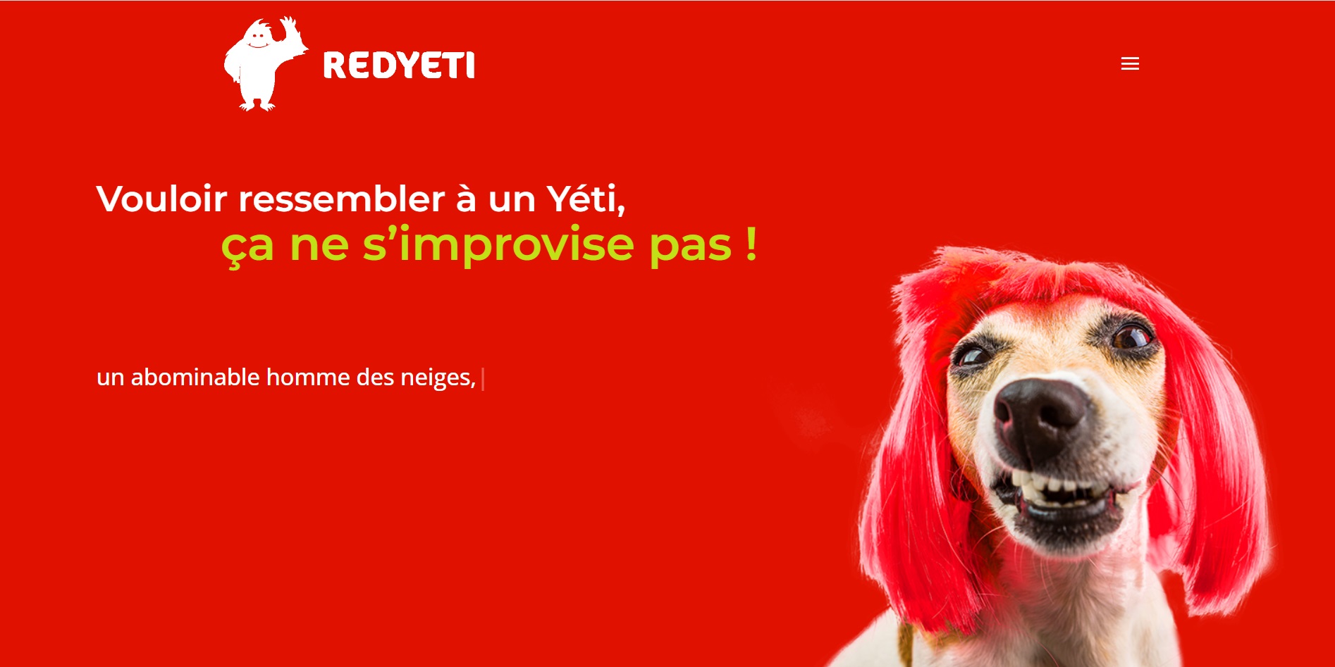  REDYETI —Création graphique et site internet Agence web et communication - Agence Web à Chambéry