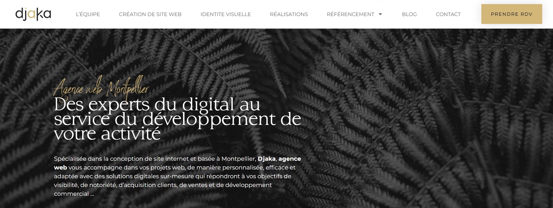  Djäka Agence web - Agence Web à Montpellier 