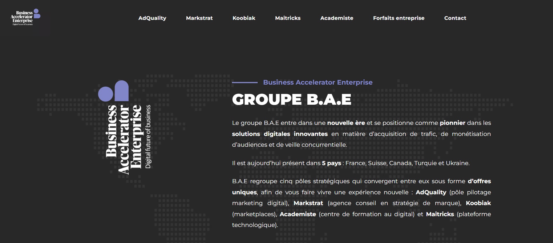  BAE Groupe - Agence Web à Caluire-et-Cuire
