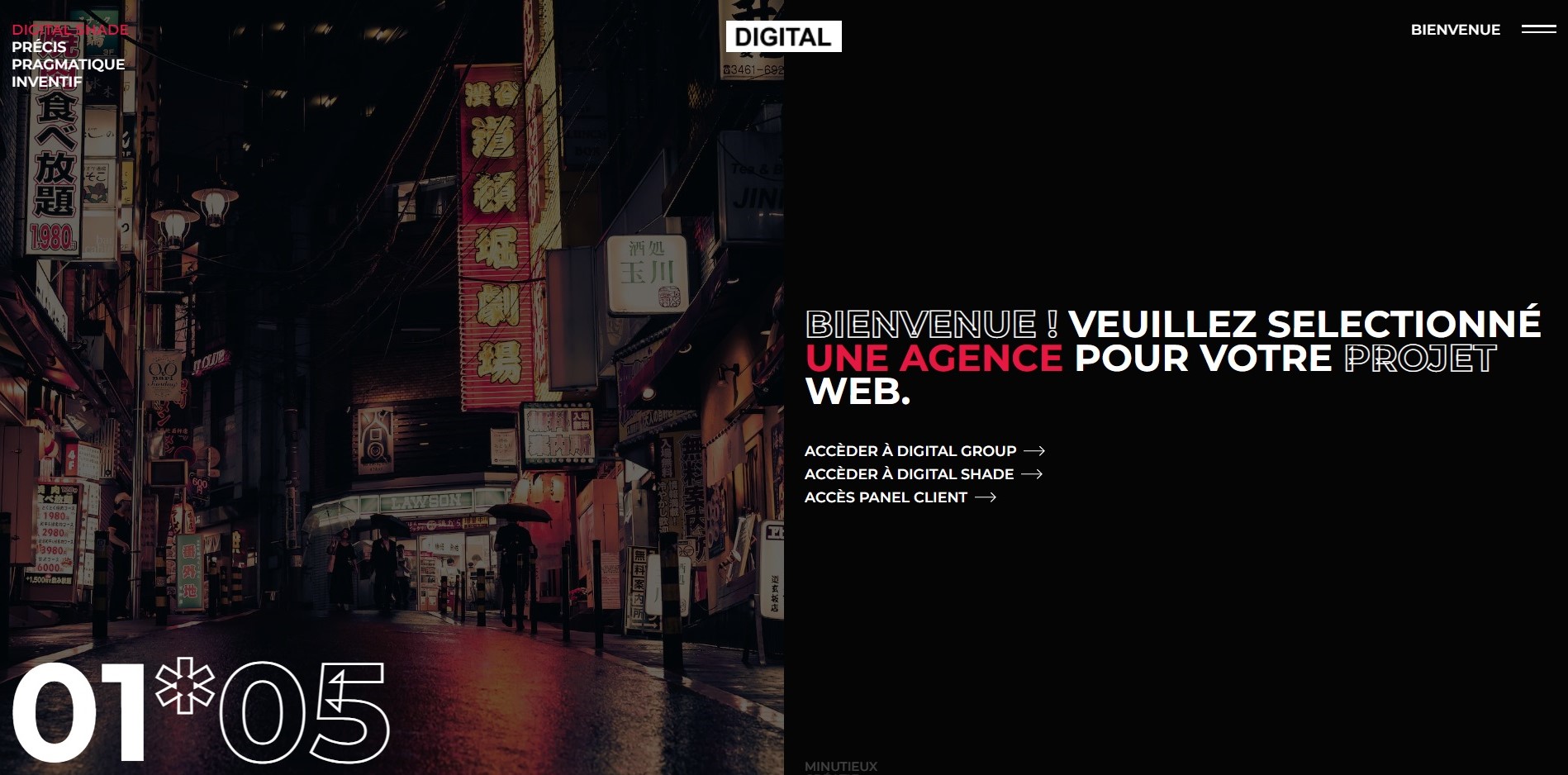  Digital Shade - Agence Web à Nancy
