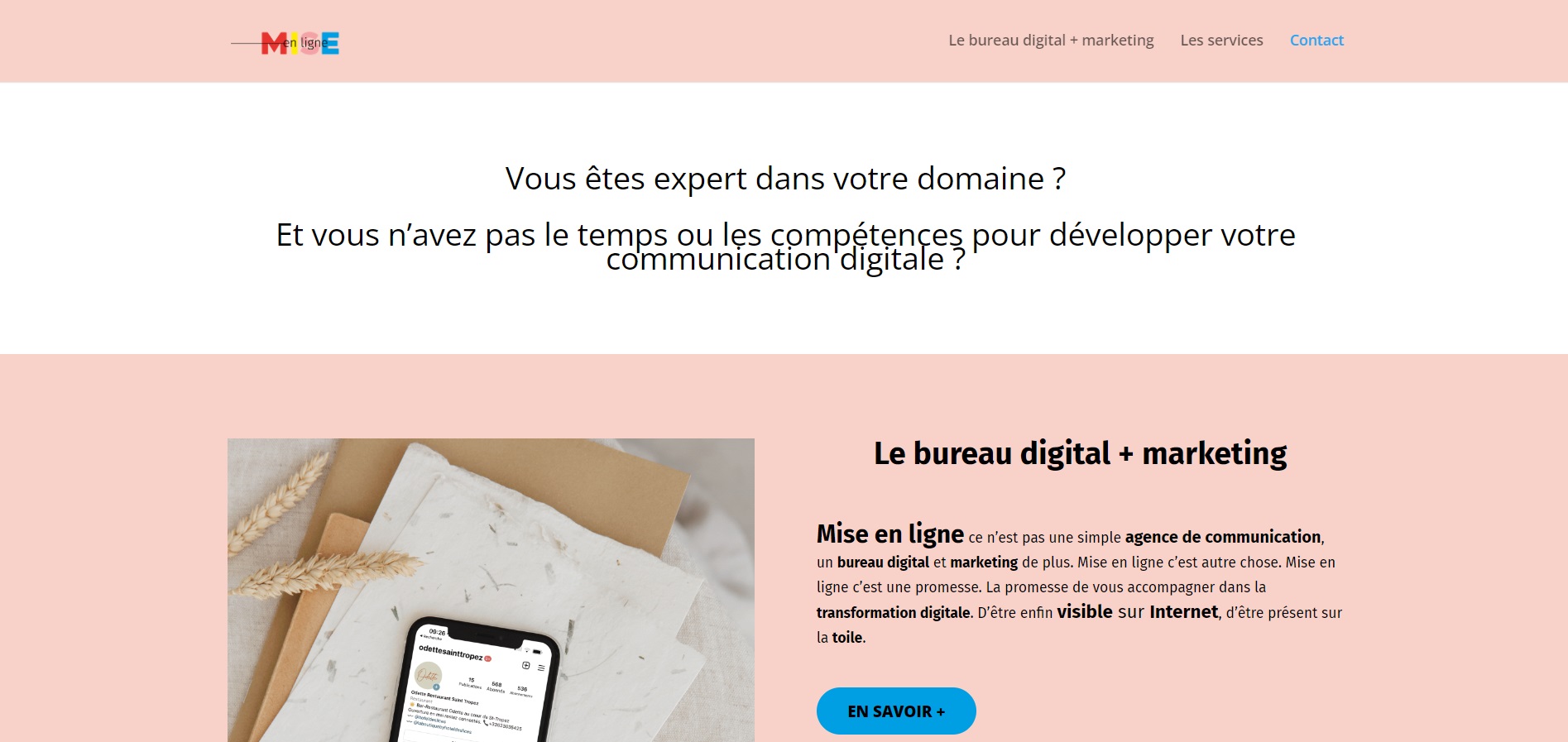 Mise en ligne - Agence Web à Carcassonne