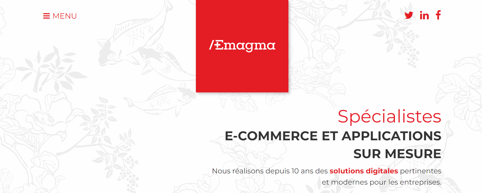 Emagma - Agence Web à Foix