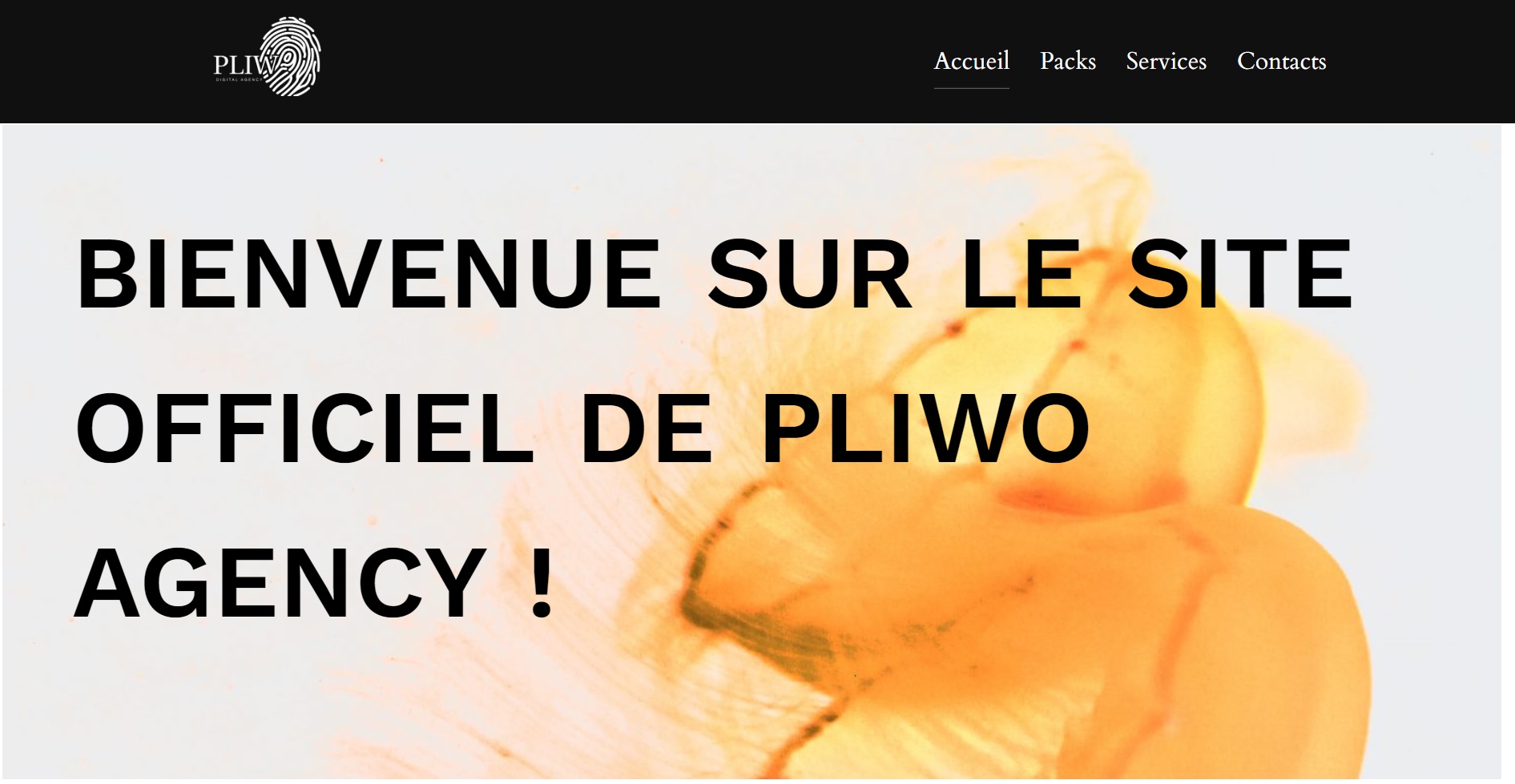  Pliwo Agency - Agence web à Sainte-Anne